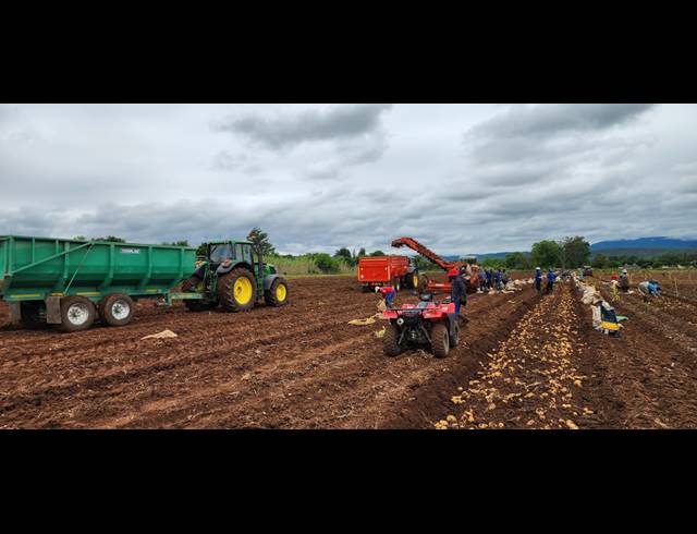 56HA FARM FOR SALE IN WEENEN